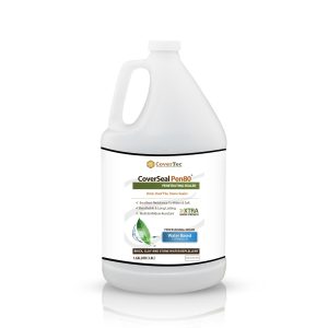 Clay, Travertine and Brick Sealer - CoverSeal Pen80