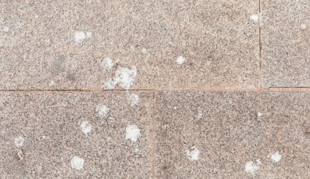 Natural Stone Sealers